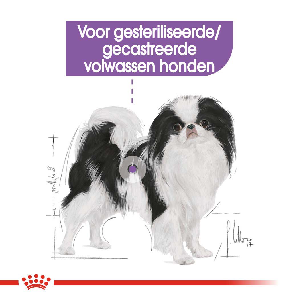Royal Canin X-Small Sterilised - Hondenvoer - 1.5 Kilogram - gevogelte