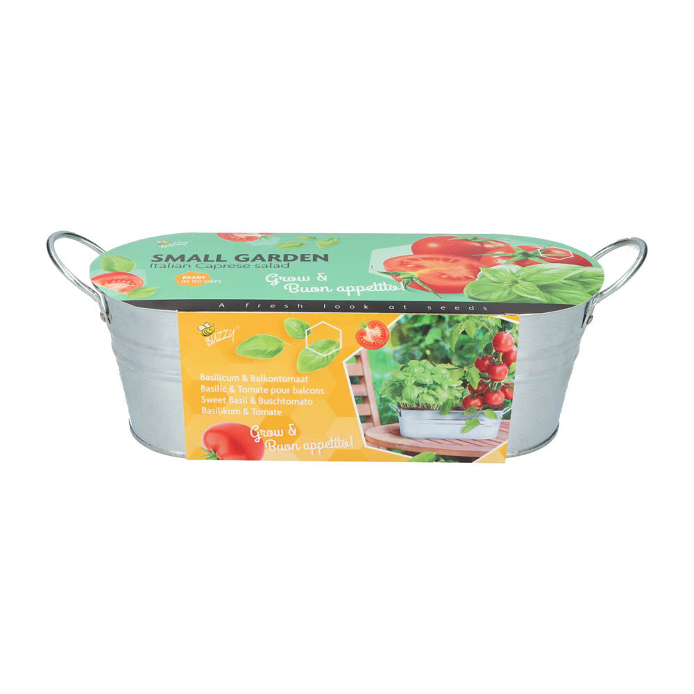 Buzzy Small Garden Italian  Grow Kit Italian - Groentezaden