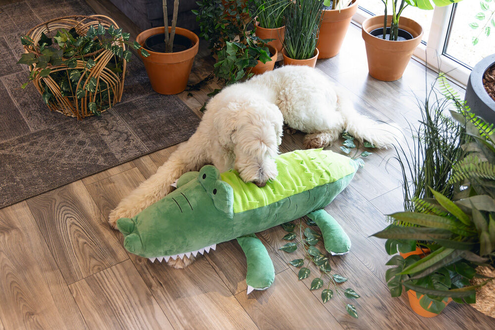 Beeztees Hide and Seek Jungle Krokodil - Snuffelmat - Hondenspeelgoed - Groen - 1x54x84 cm