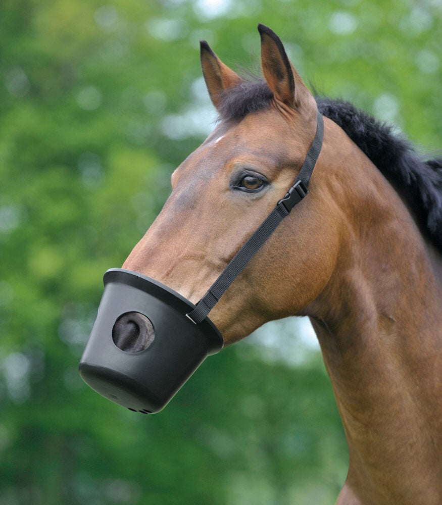 Waldhausen - Muilkorf paard Waldhausen - Muilkorf paard