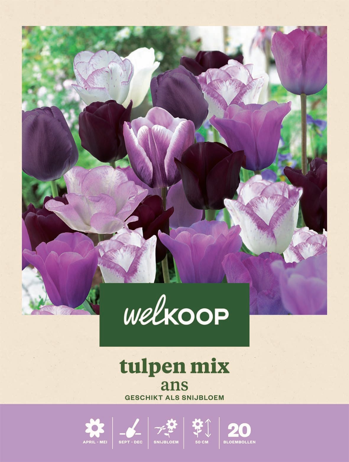 Welkoop Tulpen mix Ans - Bloembollen