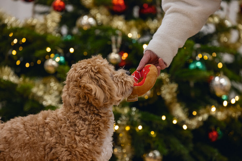 Beeztees Kerst Donut Knuffel - Hondenspeelgoed - assorti