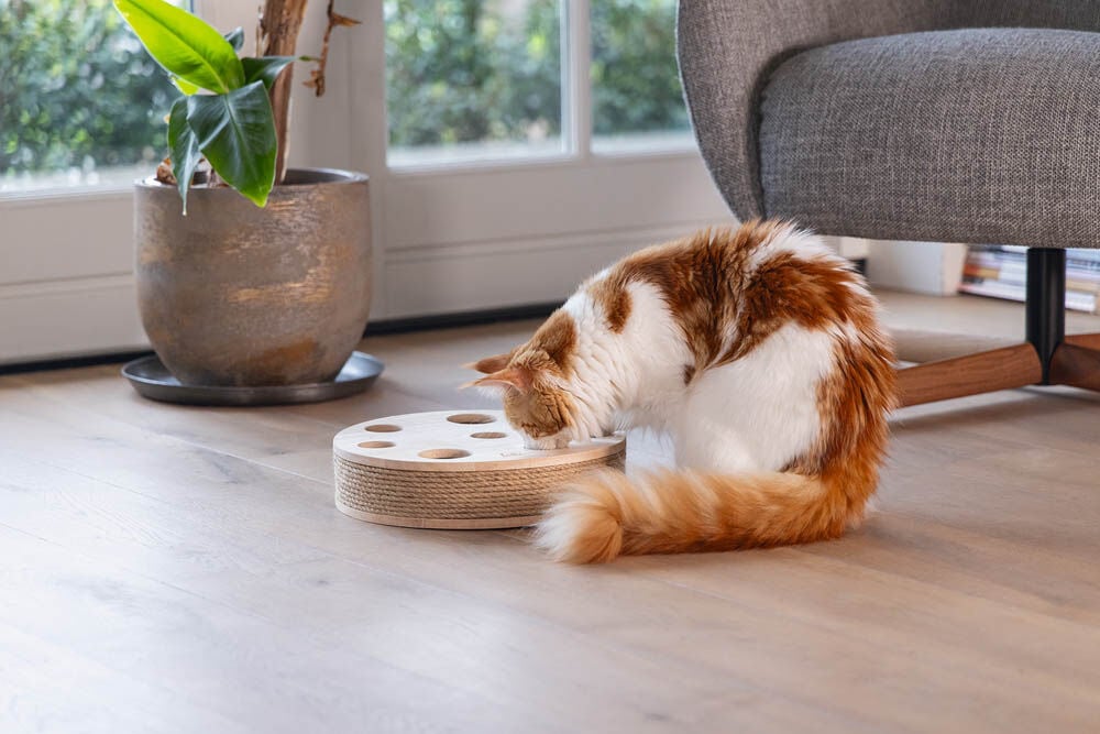 Designed by Lotte Raya - Kattenspeeltje - Bruin