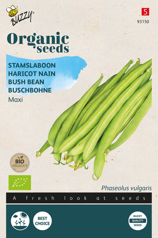 Buzzy Stamslabonen Phaseolus vulgaris L. Maxi - Sla- of sperziebonen