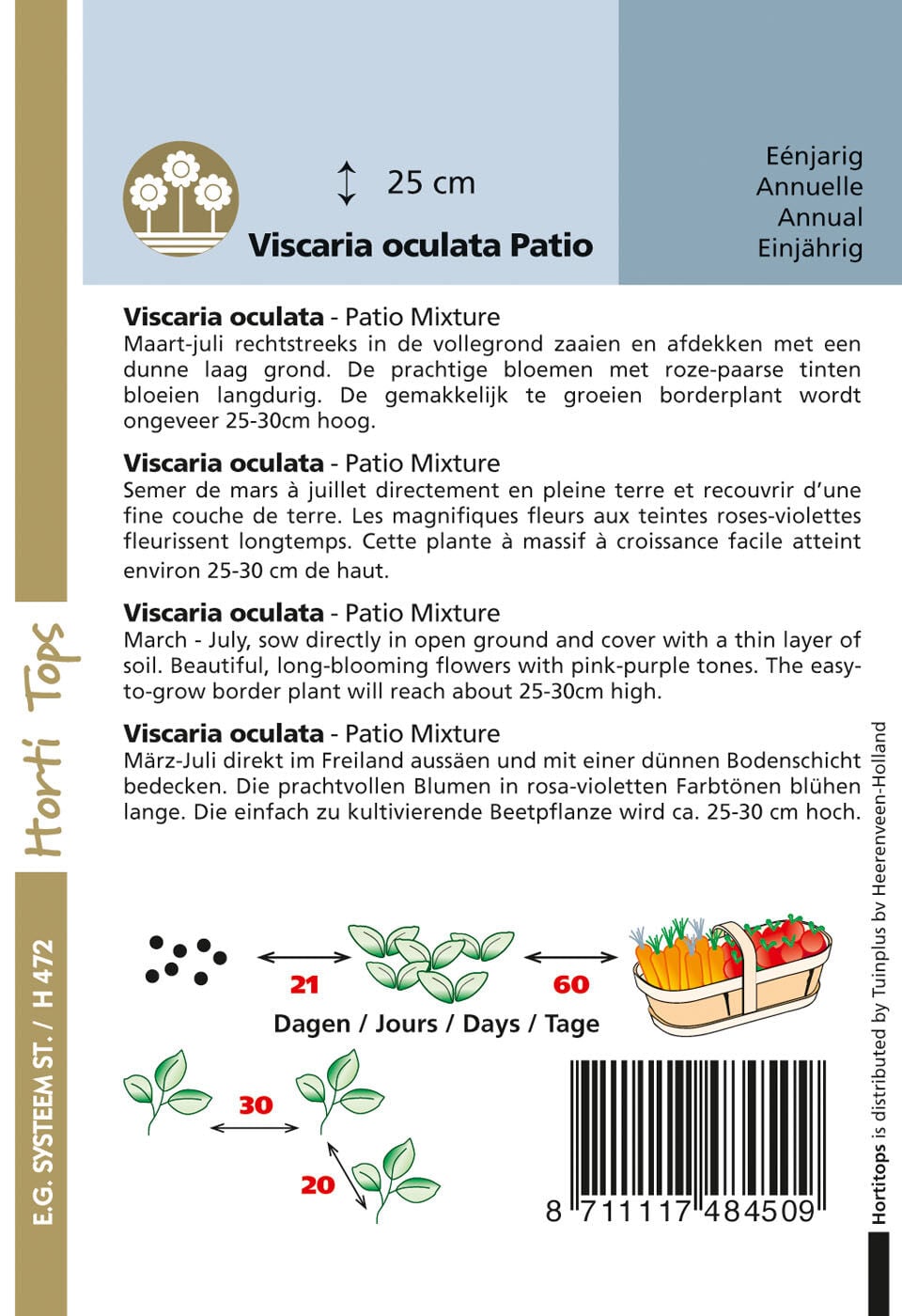 Hortitops Viscaria Patio mix Viscaria oculata - Bloemzaden