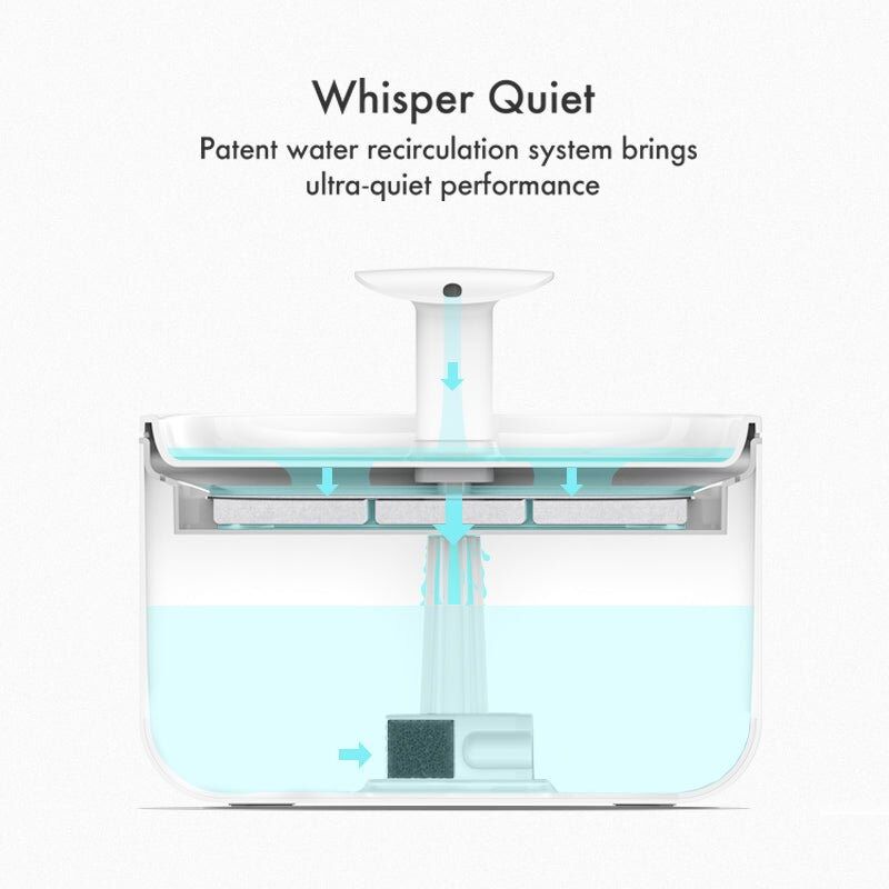 PETLIBRO Capsule - Waterfontein - Blauw