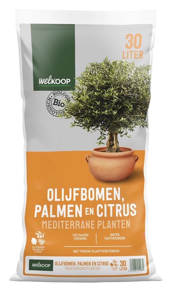 Welkoop Olijfbomen Palmen Citrus - Potgrond