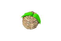 Quapas! Kogelbies Appel - Knaagdierpeelgoed  - 8x8x8 cm