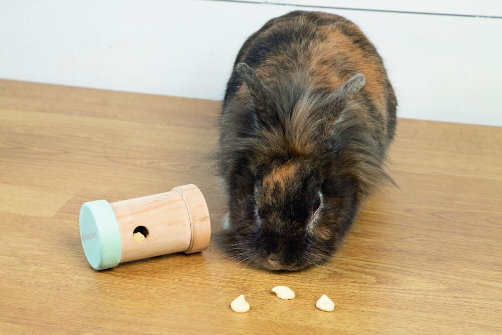 Beeztees Yumzi - Snackkoker - Mint - 14.2x6x11 cm