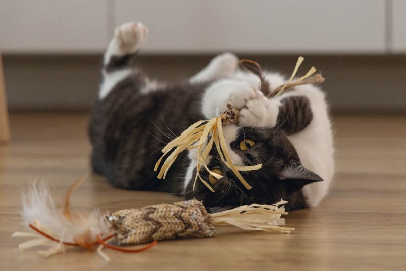 Beeztees Stick Omazo - Kattenspeeltje - Beige