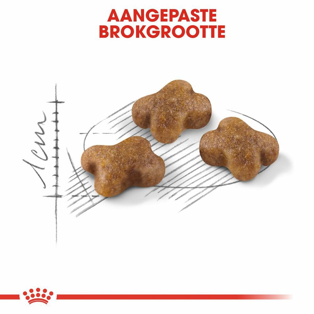 Royal Canin Kitten - Kattenvoer - 10 Kilogram - Gevogelte