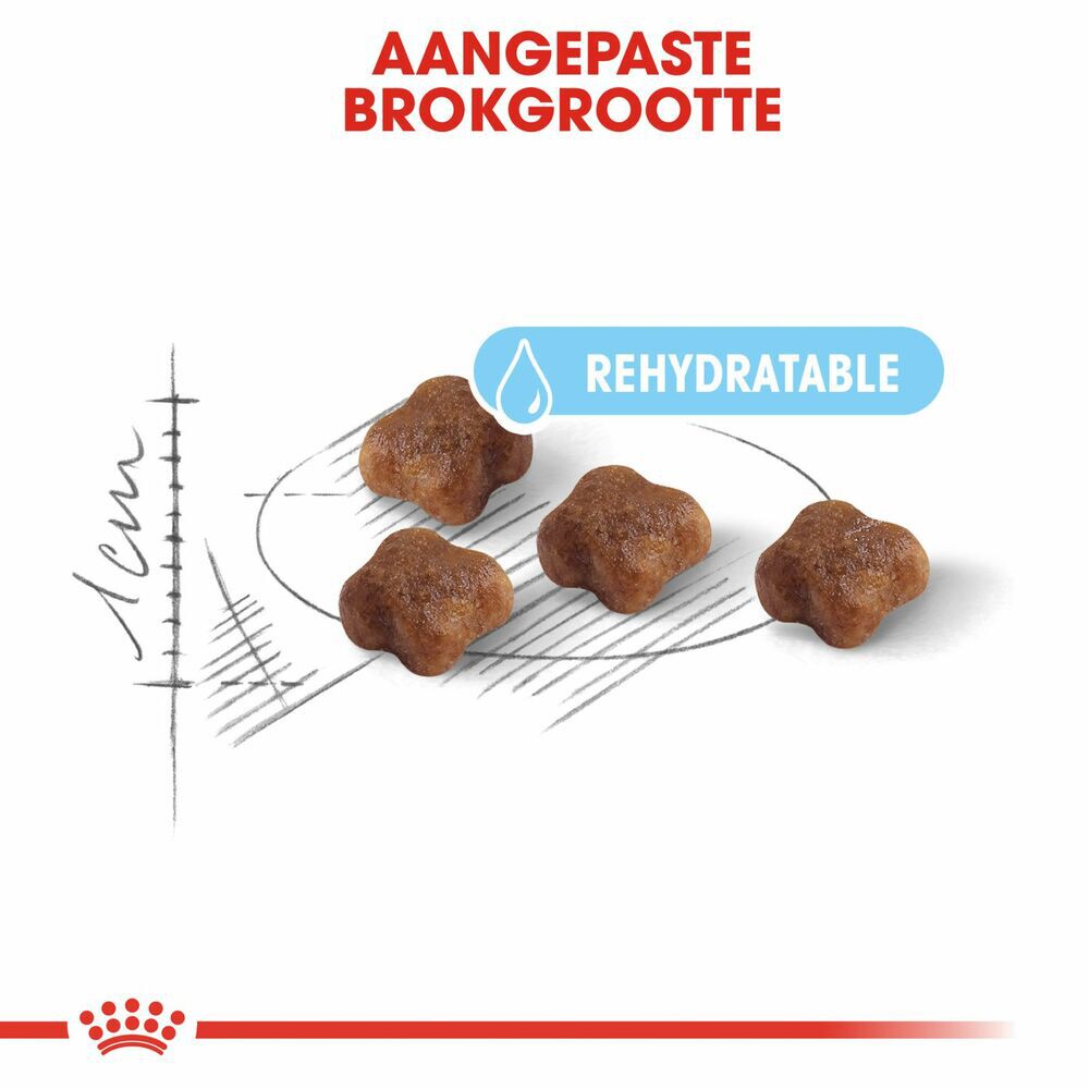 Royal Canin Mother & Babycat - Kattenvoer - 0.4 Kilogram - Gevogelte