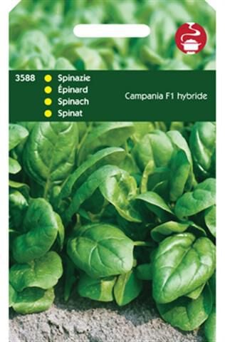 Hortitops Spinazie Spinacia oleracea Campania F1 - 50 Gram - Spinazie