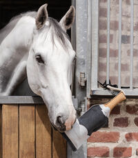 Waldhausen Champagne fles - Paardenspeelgoed
