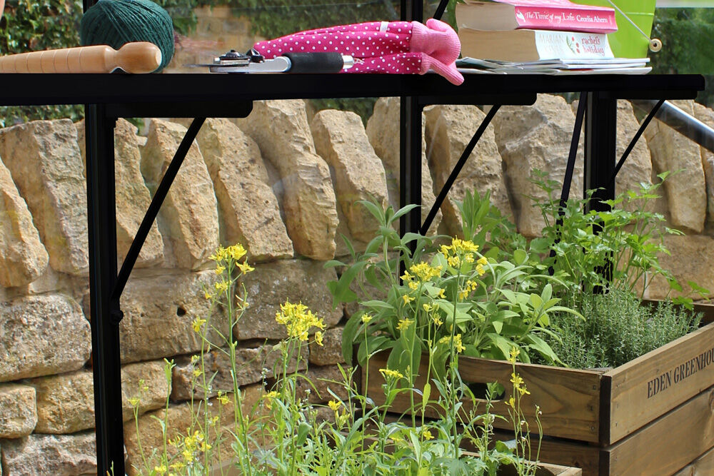 EDEN Birdlip 48 en Burford 68 - Kweekschap