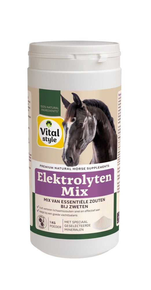 Vitalstyle Elektrolytenmix - Supplement