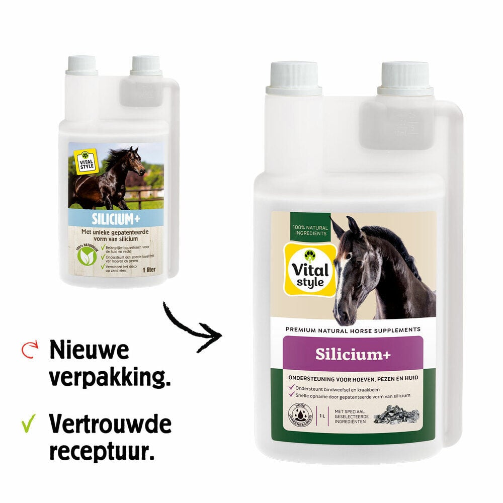 VITALstyle - Silicum+ - 1 Liter - Flacon
