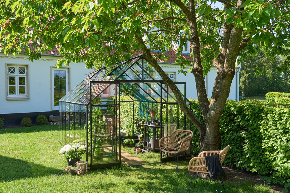 Halls Qube 812 - Tuinkas - zwart - 246x261x385 cm - Veiligheidsglas