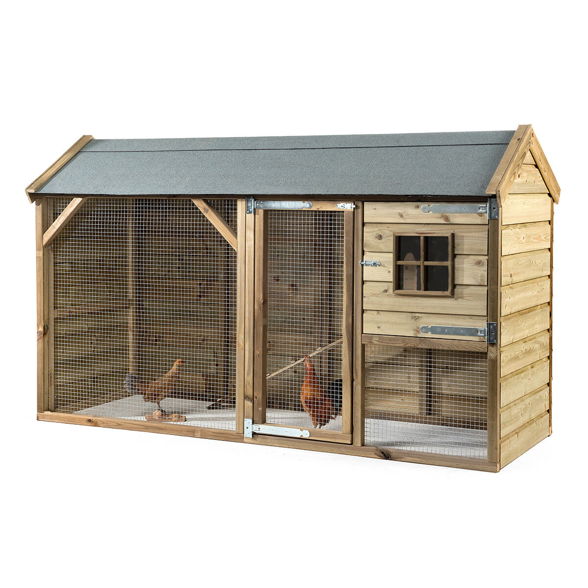 Glorenza  Kiki - Kippenhok