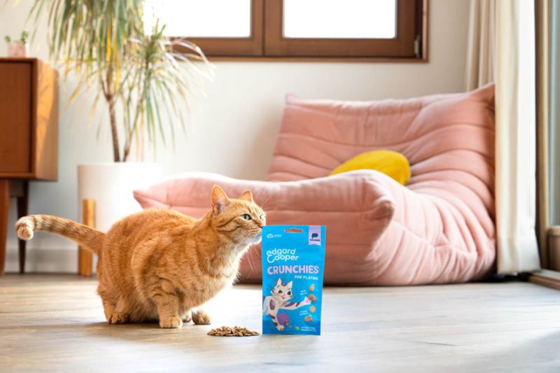Edgard & Cooper Crunchies - Kattensnack - 50 Gram - zalm