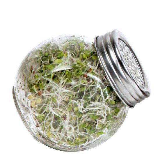 Buzzy® Organic Sprouting - Kiempot Pikante Salade - 7.5 Gram