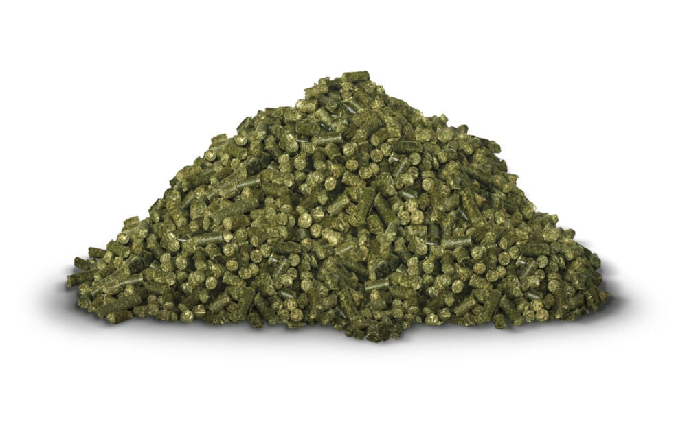 Hartog Lucerne Pellets - Basisvoeding - Paardenvoer Hartog Lucerne Pellets - Basisvoeding - Paardenvoer