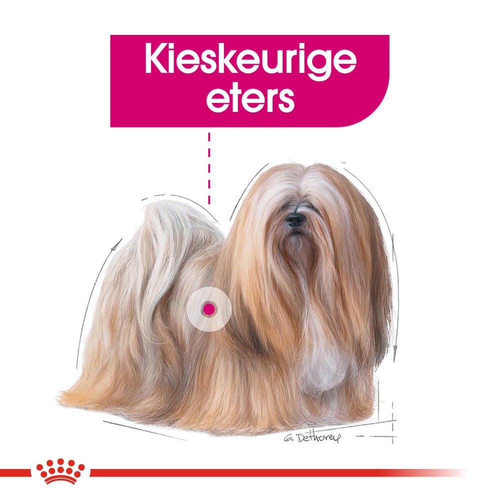 Royal Canin Exigent Wet - Hondenvoer - 12x85 gram - 1020 Gram - gevogelte