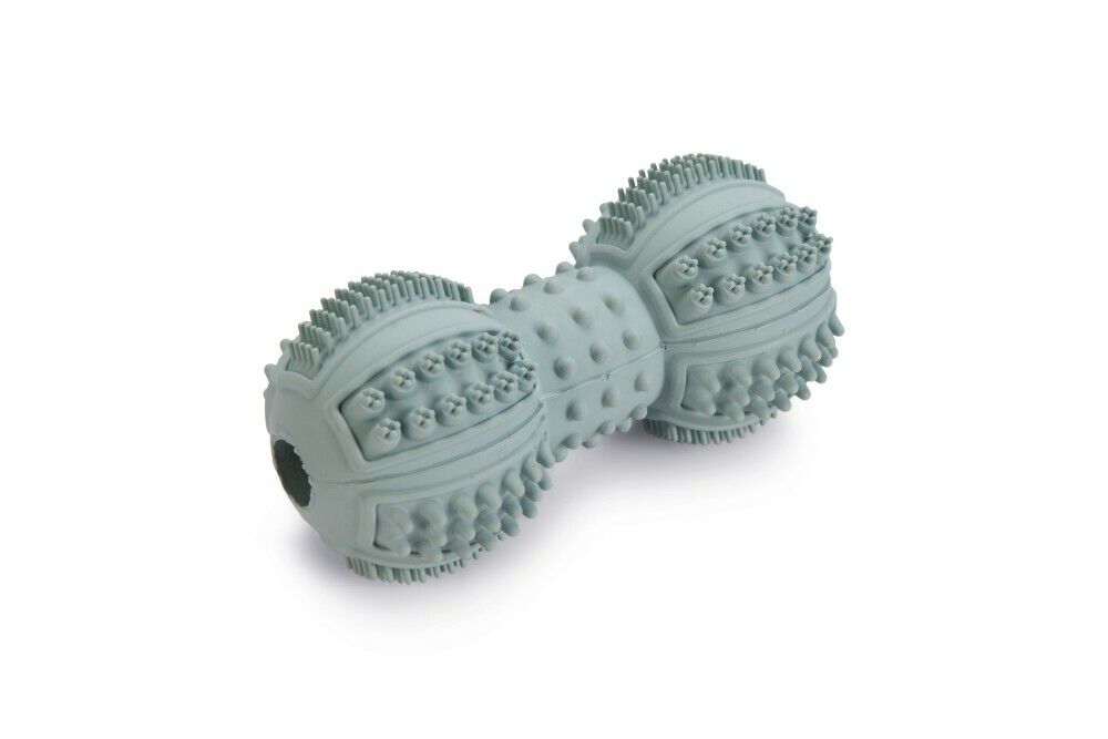 Beeztees - Halter Dental Care - Kauwspeelgoed hond - Mint - 9x4x4 cm Beeztees - Halter Dental Care - Kauwspeelgoed hond - Mint - 9x4x4 cm