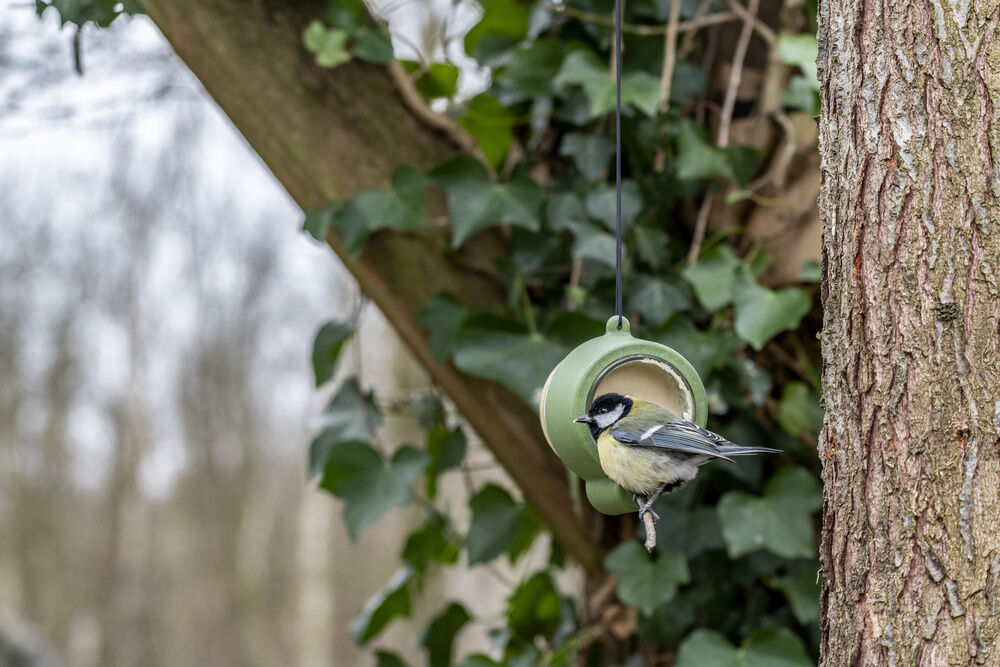 CJ Wildbird Foods Rio - Pindakaaspothouder - 10.5x8x6.1 cm