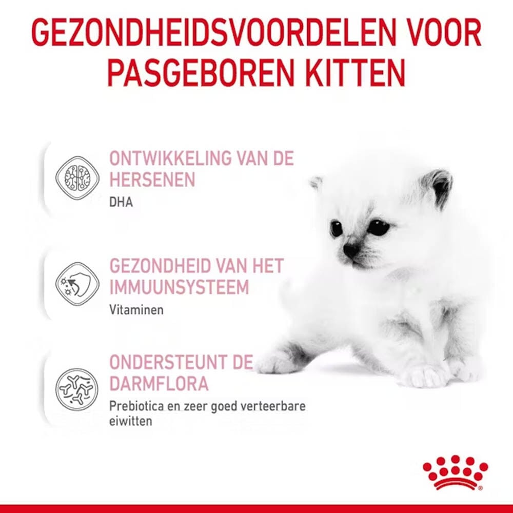 Royal Canin Babycat Milk - Kattenvoer