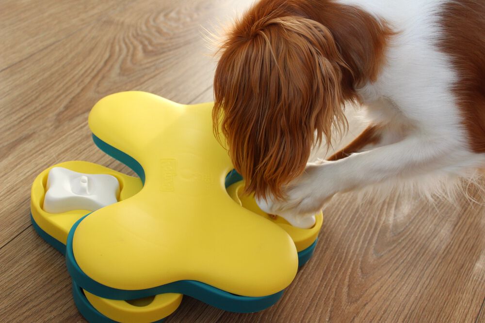 Nina Ottosson Tornado - Puzzel - Hondenspeelgoed - blauw - 8.3x27.9x19.1 cm