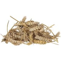 Welkoop Tarwe aren - Kippensnack - 800 Gram
