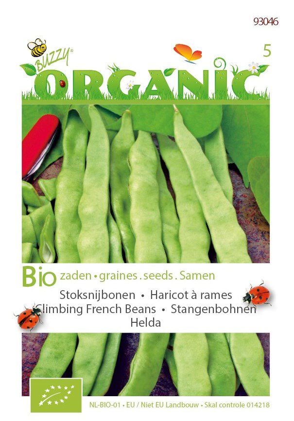 Buzzy Stoksnijbonen Phaseolus vulgaris Helda - Snijbonen