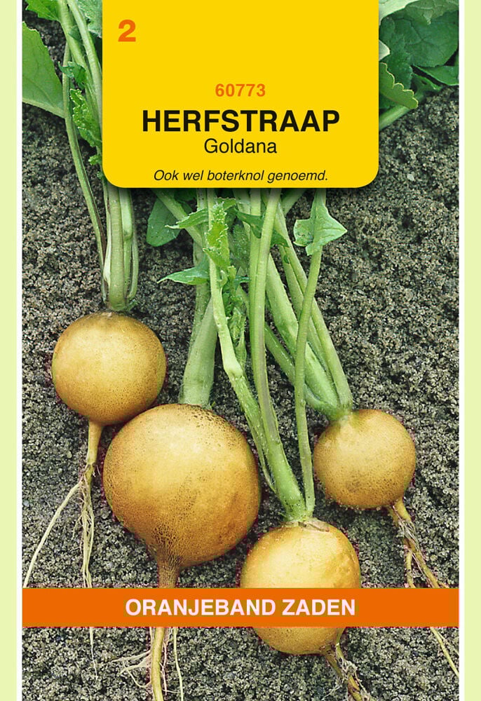 Oranjeband zaden Rapen Goldana - Groentezaden