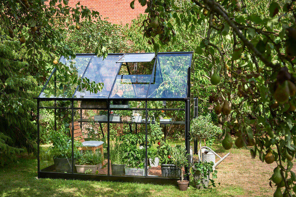 Halls Qube 68 - Tuinkas - zwart - 219x198x259 cm - Veiligheidsglas