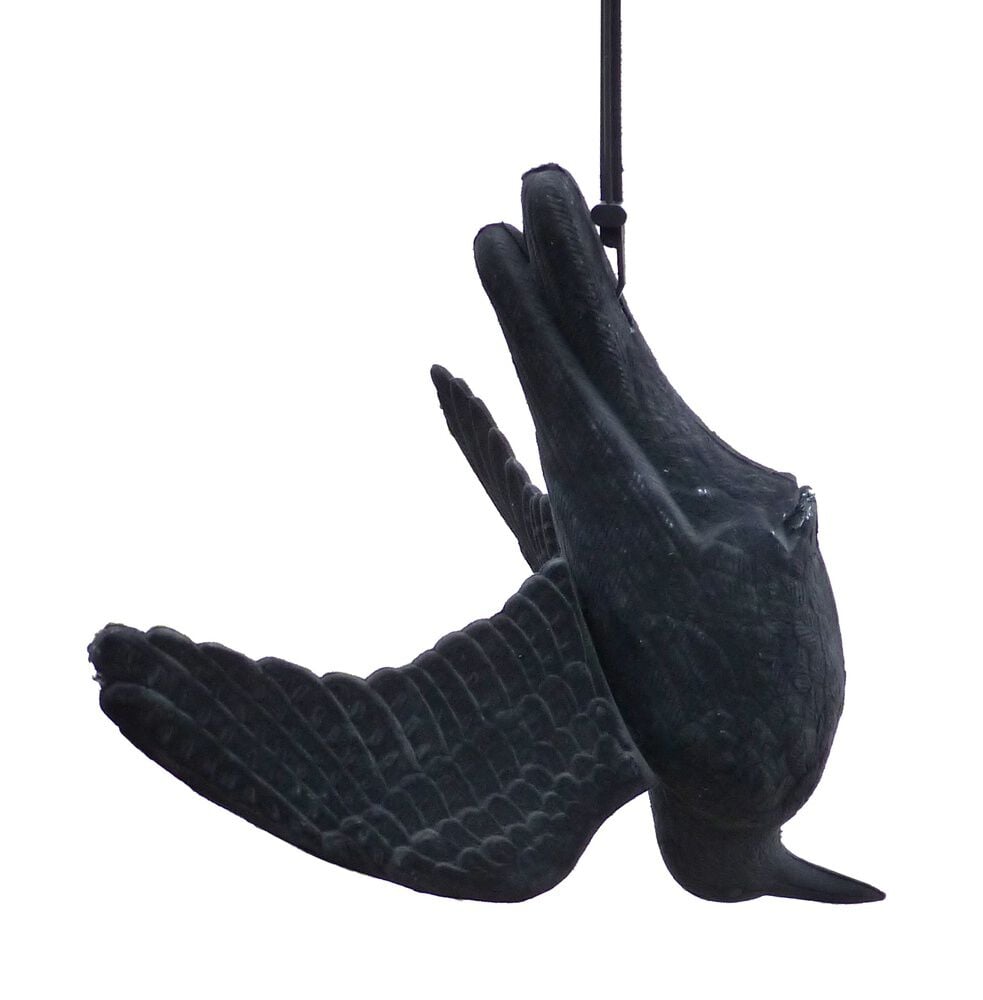 Ketrop Kraai - Tegen vogels