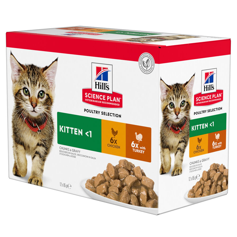 Hill's Science Plan Kitten - Kattenvoer