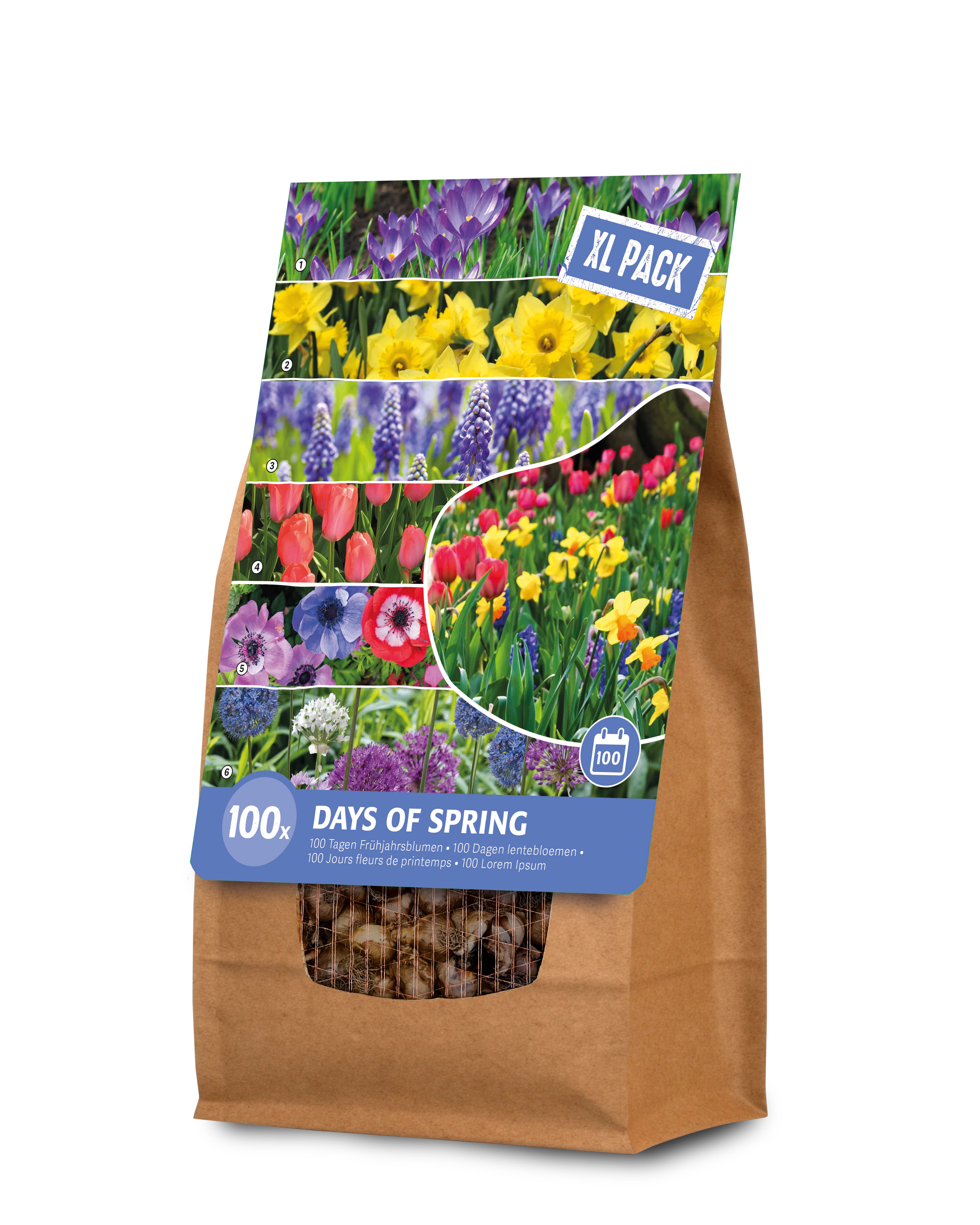 Florex Bloembollenmix 100 dagen lengte - Bloembollen - XL zak