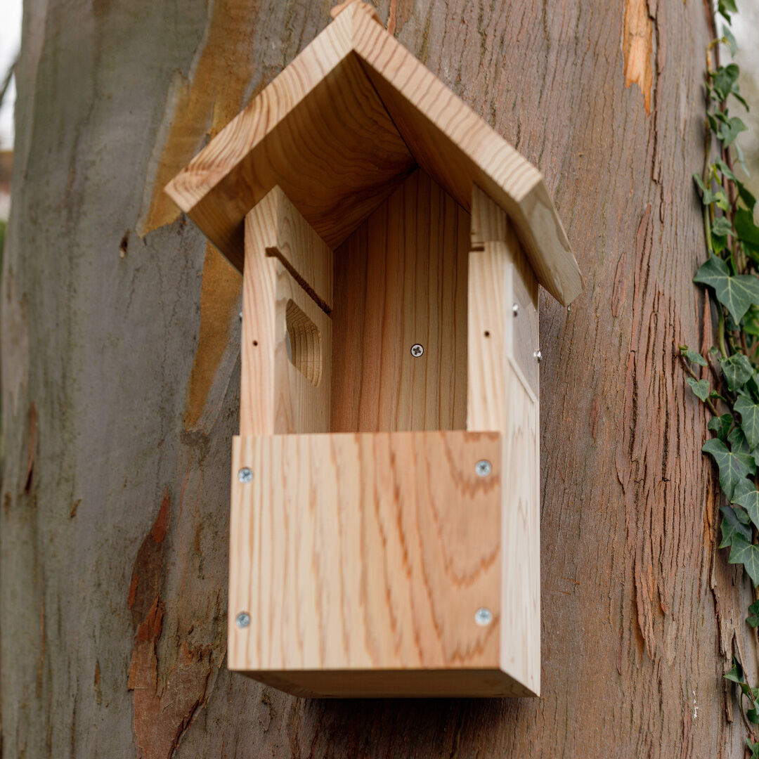 Nestera - Nestkast - met Wifi-Camera - Bruin