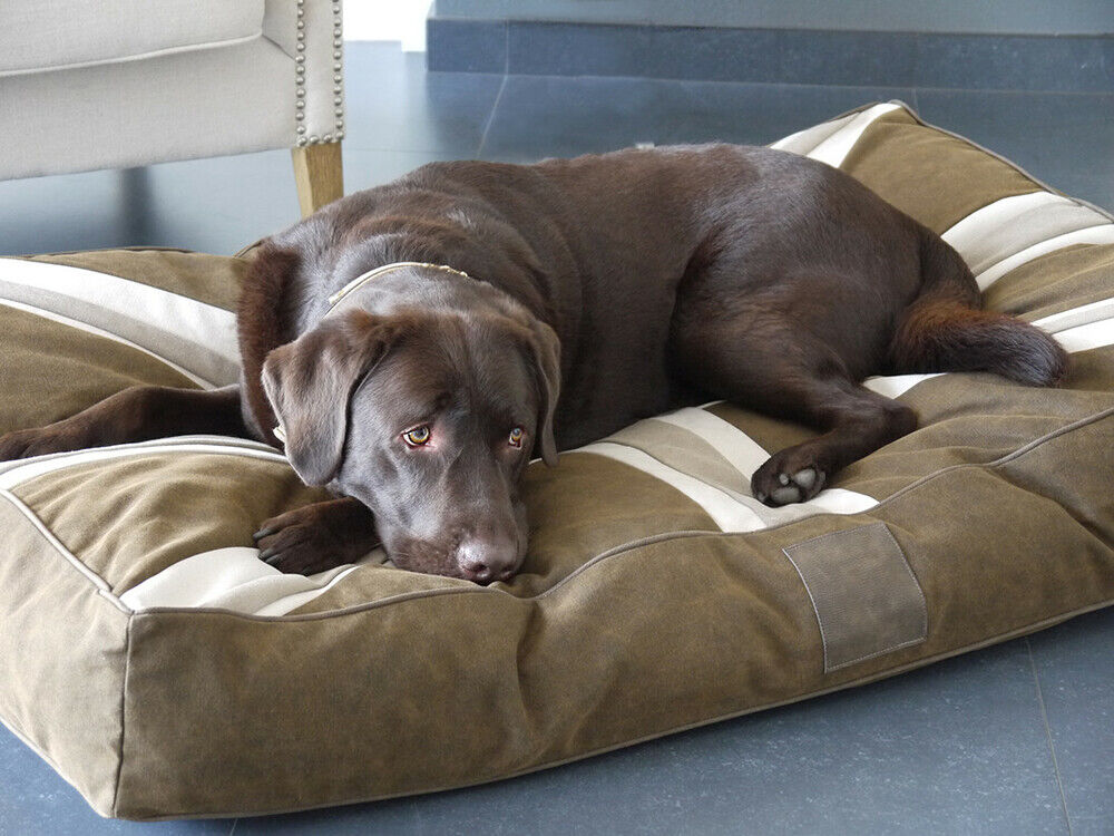 Happy-House Blokkussen Vlag - Hondenkussen - bruin - 15x75x110 cm - S