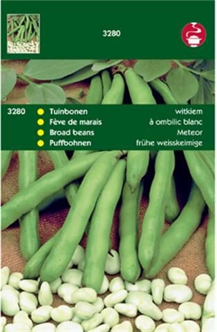 Hortitops Tuinbonen Vicia faba Witkiem - Groentezaden