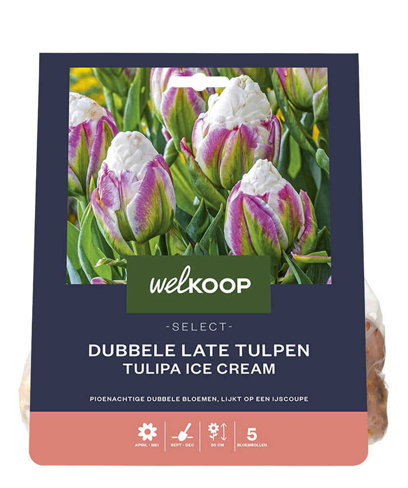 Welkoop Select Dubbele Tulp Lidy - Bloembollen