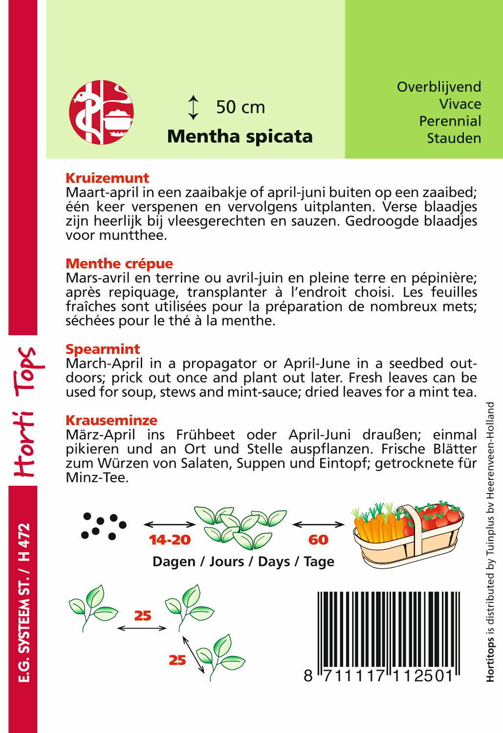 Hortitops Kruizemunt - Groentezaden
