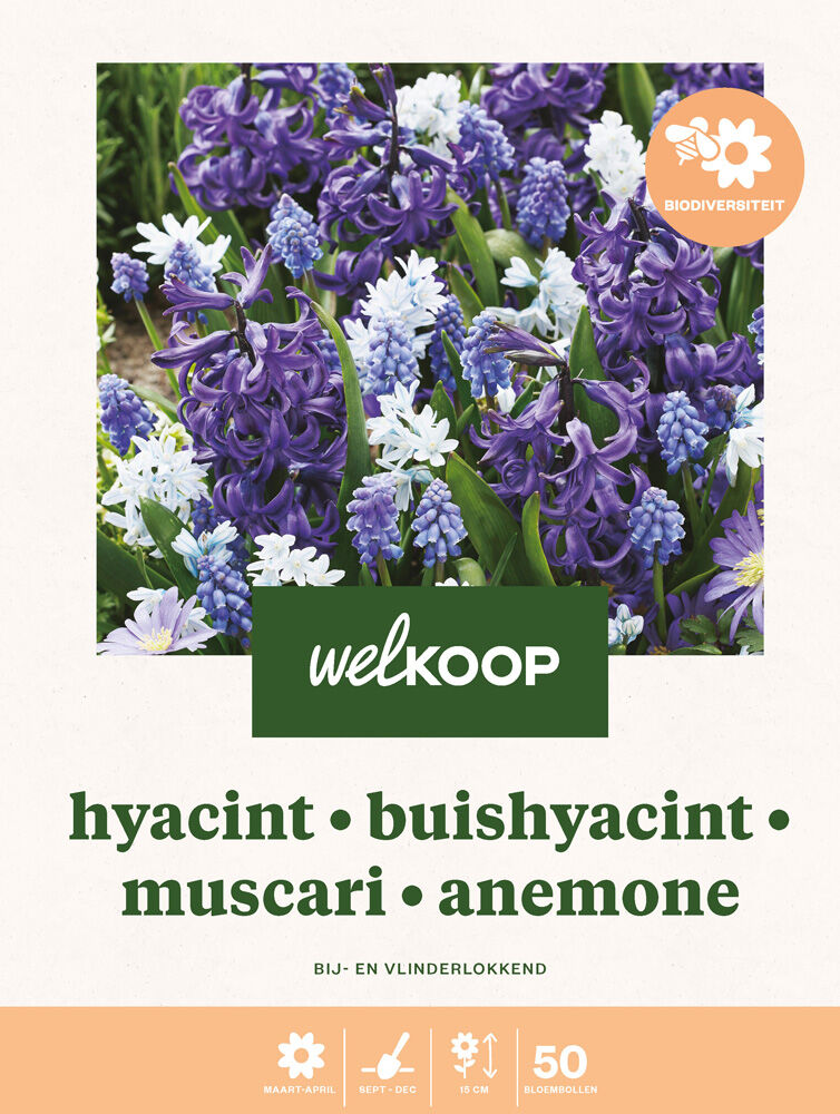 Welkoop Hyacint Blauwe druifjes Anemone Biodiversiteit - Bloembollen