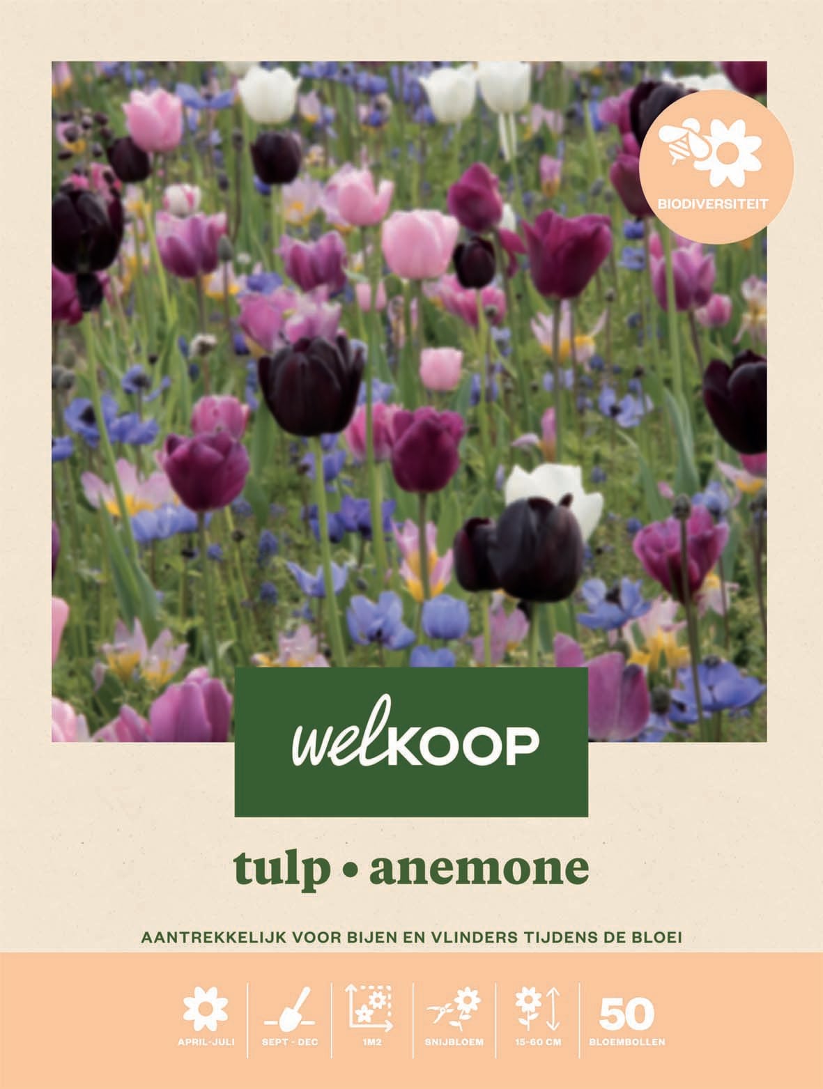 Welkoop Tulp Anemone Biodiversiteit - Bloembollen