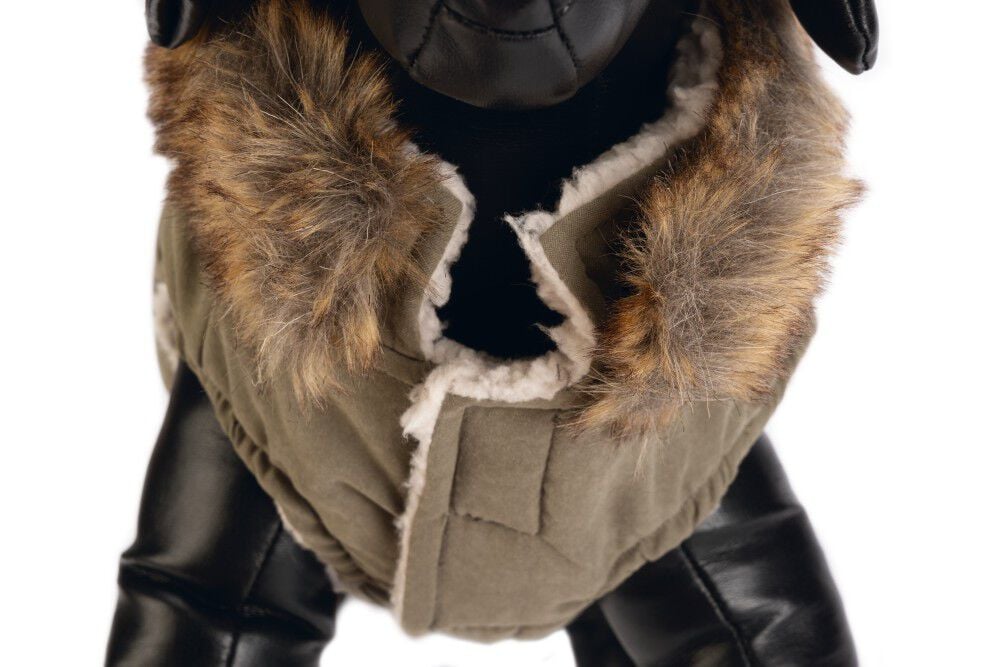 Designed by Lotte Philos - Hondenjas - groen - S/m