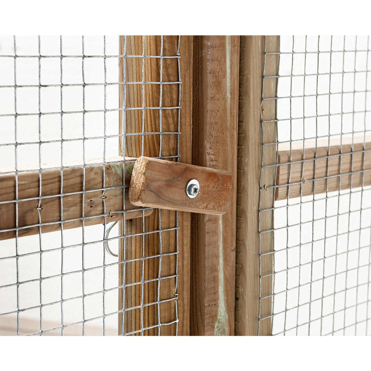 Glorenza - Ren - Naturel