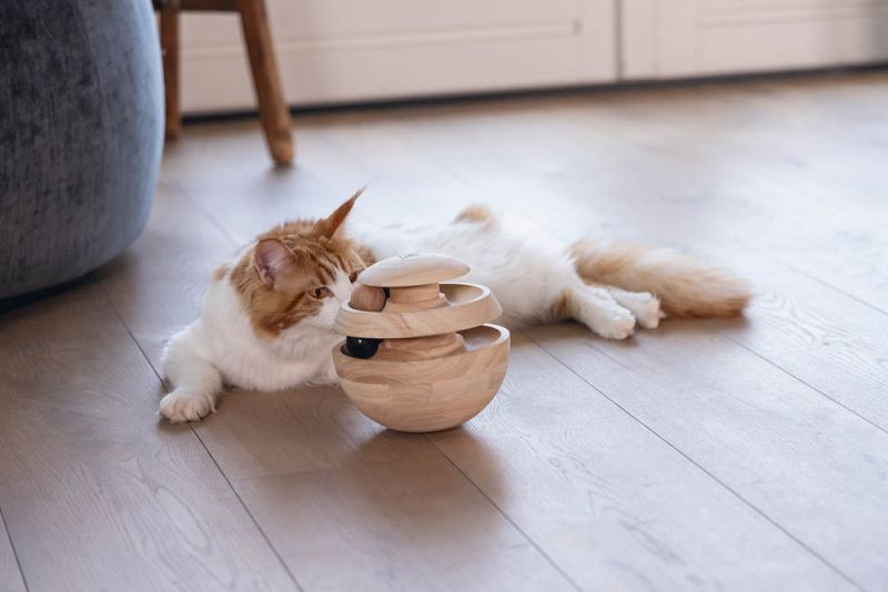 Designed by Lotte Neya - Kattenspeeltje - Bruin