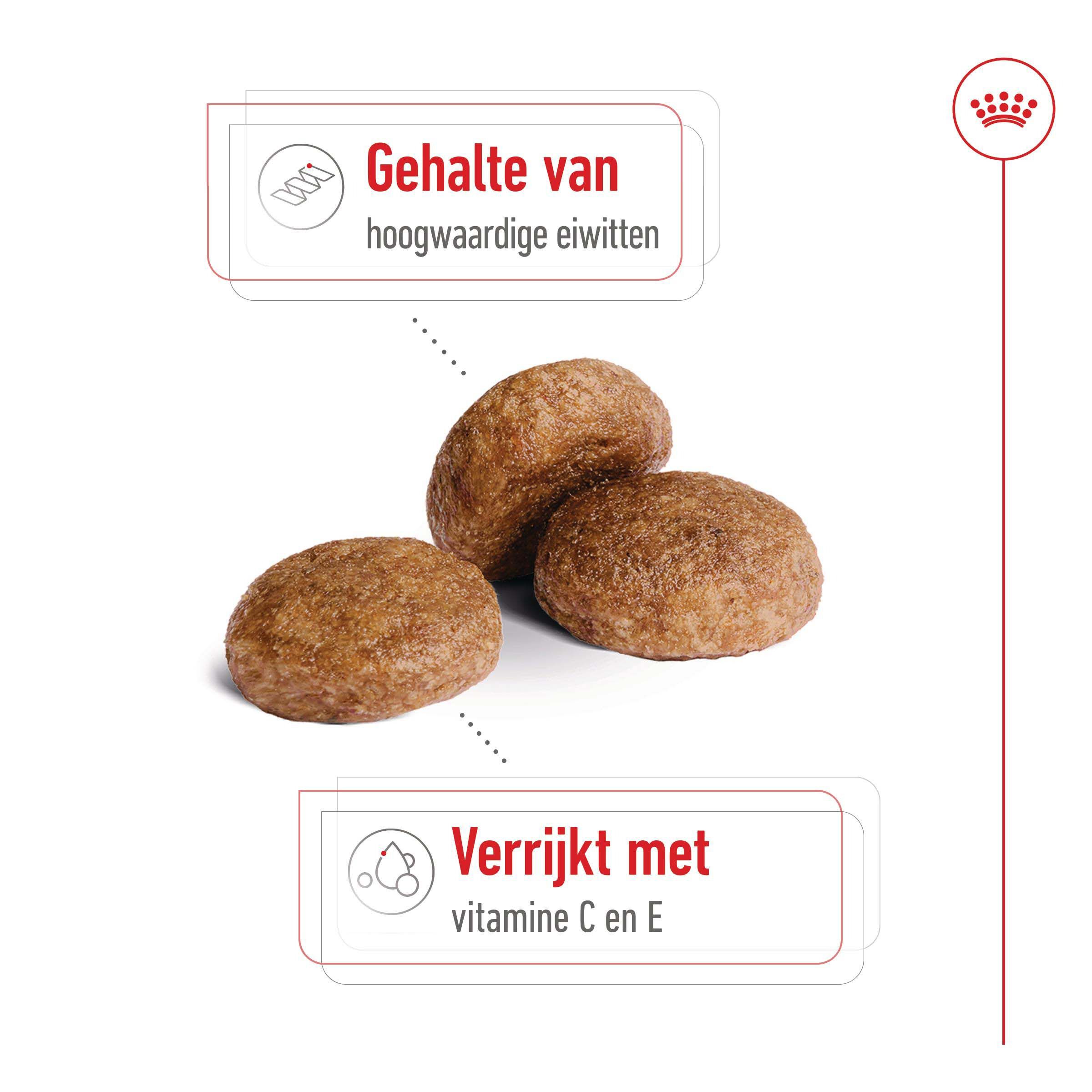 Royal Canin SHN Medium Adult 7+ Hondenvoer - 10 Kilogram - gevogelte