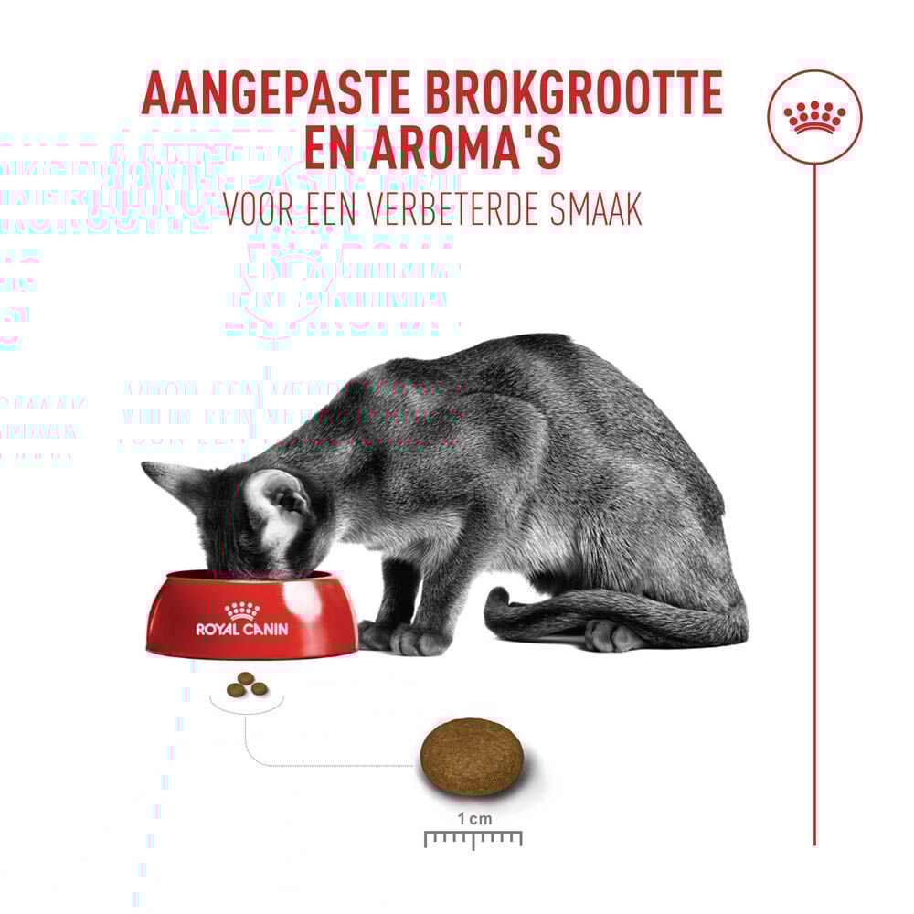 Royal Canin Fussy Exigent - Kattenvoer - 2 Kilogram